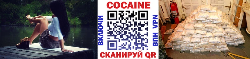 купить закладку  Ясногорск  COCAIN Эквадор 