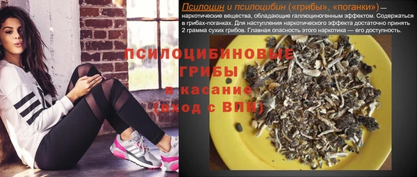 тгк Беломорск