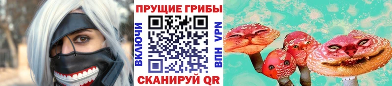 купить наркоту  Ясногорск  Псилоцибиновые грибы Cubensis 