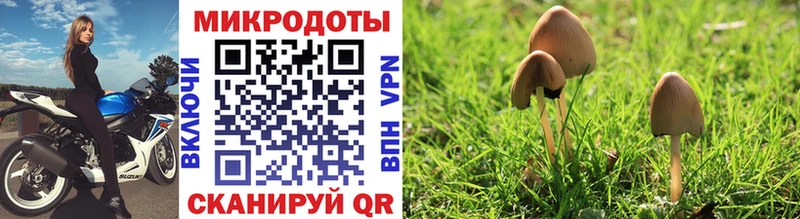 Галлюциногенные грибы Cubensis Ясногорск